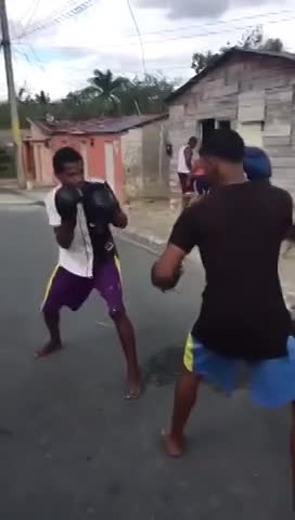 Wanna be boxer knocked into fish mode - LiveGore.com